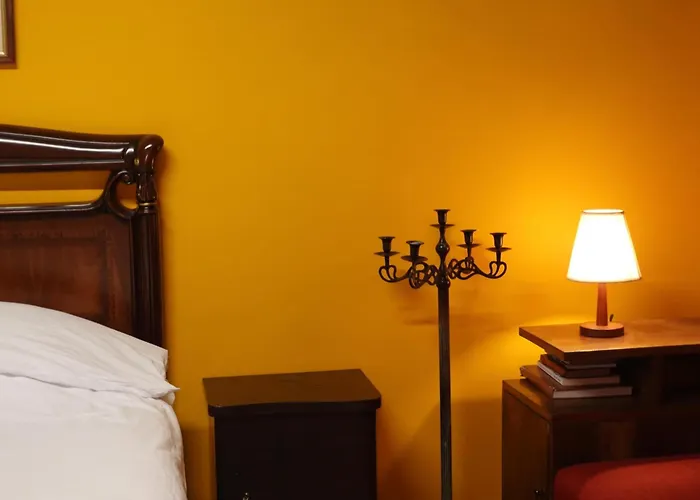 Jasemin-lule * Tirana