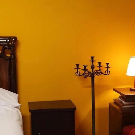 Jasemin-lule * Tirana